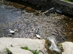 -北京水岸山吧度假村(雁栖镇店)