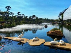 -罗红摄影艺术馆