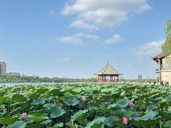 -济南大明湖景区