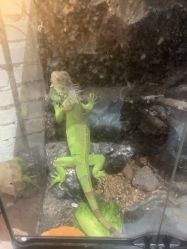 -HEY!TATTOO·嘿刺青