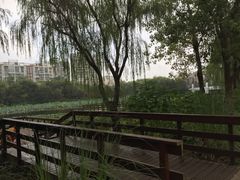 -新江湾城公园