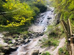 -青峰峡国家森林公园