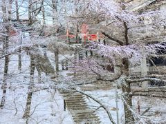 -崂山巨峰游览区