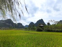 -靖西鹅泉风景区