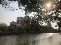 -何记面馆(龙泉山店)