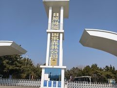 -日照海滨国家森林公园