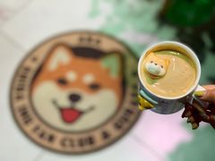 -柴务处·柴犬主题狗咖