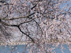 -颐和园