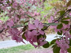 -蓝地时尚庄园(北京清河营地铁站店)