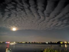 -魏铭鱼头捞饭(晋阳路店)