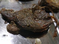 -特克斯八卦城