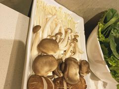 杂菌拼盘-百年果林椰子鸡(中洲店)