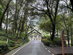 -南京老山国家森林公园