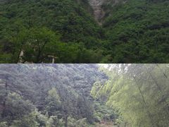 -白云源风景区