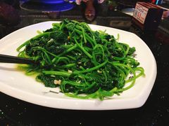 -丰食农家乐