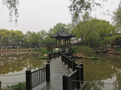 -瀛洲公园