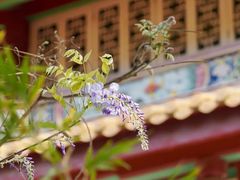 -天竺岩寺