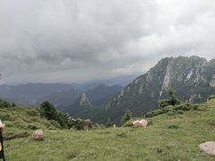 -芦芽山旅游度假区