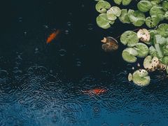 -上海方塔园