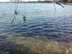 -暨阳湖生态园