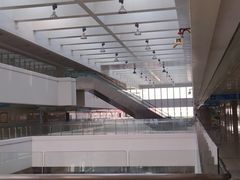 -上海东方肝胆外科医院(嘉定院区)