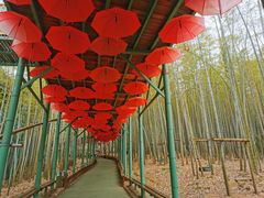 -陶祖圣境风景区