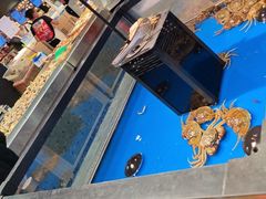-蠔友汇·海鲜·生蚝烧烤(大东店)