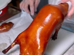 -秀儿四九城·新京菜(亚运村鸟巢店)