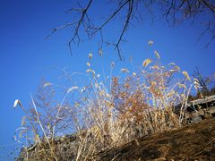 -延安杨家岭革命旧址