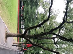 -浙江大学(玉泉校区)
