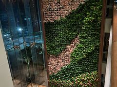 -深圳湾木棉花酒店