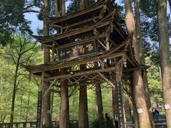-青城山