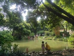 -成都市活水公园