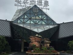 -常州环球恐龙城维景国际大酒店