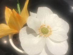 -阿英煲(凉城路店)