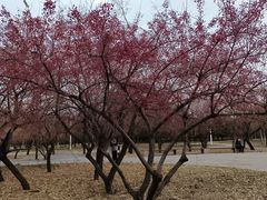 -长春公园(普阳街道)