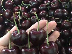 -菜园坝水果市场