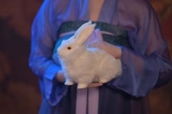 -汉仪华裳汉服馆(打浦桥店)