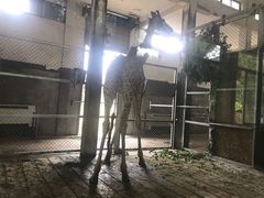 -常州淹城野生动物世界