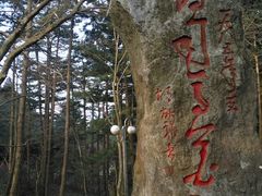 -庐山风景区花径公园