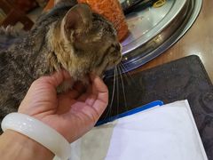 -延成苑韩式烤肉店(长春道店)