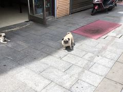 -马克西姆俄罗斯餐厅(通亚街店)