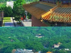 -中原大佛景区