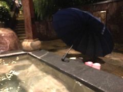 -天目湖涵田半山温泉
