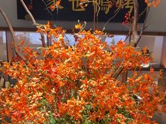 -五月花商业广场(中山五路店)