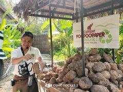 -大象粑粑造纸公园