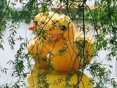 -盛世南宫影视城(北普陀影视城)