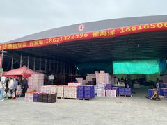 -西郊国际农产品交易中心