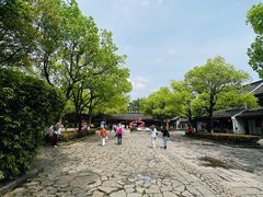 -西溪国家湿地公园