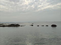 -养马岛旅游度假区